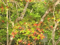 Imágenes de Costa Rica