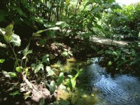 Imágenes de Costa Rica
