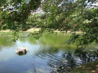 Imágenes de Costa Rica