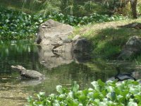 Imágenes de Costa Rica