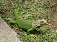 Imágenes de Costa Rica