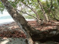 Imágenes de Costa Rica