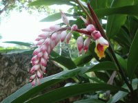 Imágenes de Costa Rica