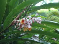 Imágenes de Costa Rica