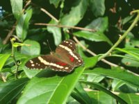 Imágenes de Costa Rica