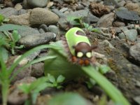 Imágenes de Costa Rica