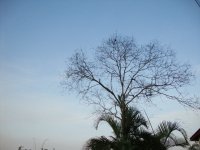 Imágenes de Costa Rica