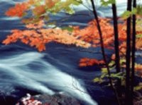 ruisseau