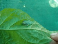 Imágenes de Costa Rica