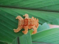 Imágenes de Costa Rica