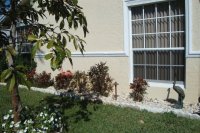 Imagenes
