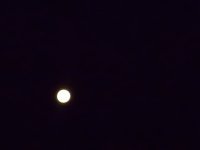 luna llena al amanecer