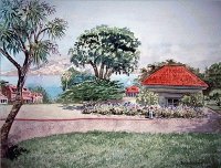 paysage
