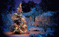 Christmas scene