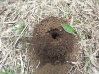 Imágenes