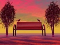 banc-et-les-oiseaux