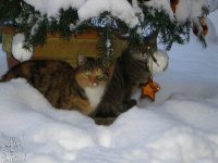 Finchen + Ayla