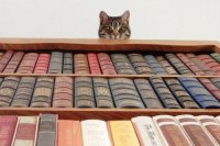 BIBLIOTECA