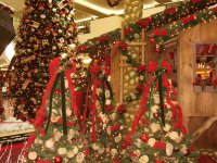 natal