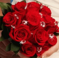 Rosas y diamantes