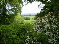 English Countryside