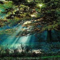 Luz de la naturaleza