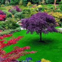 Imagenes