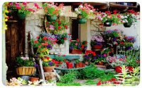 Imagenes