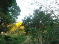 EL CAMPO