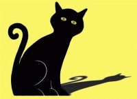 gatto nero
