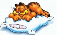 garfield