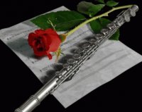 musica in rosa
