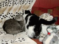 Finchen + Gina