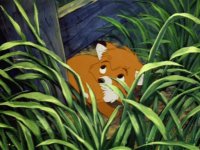 tod
