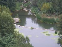 RIOS