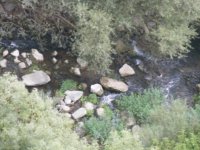 PAISAJE