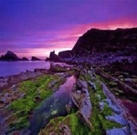 Purple_Sky