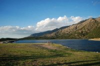 dique las palmeras
