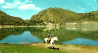 caballo
