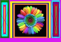 flor