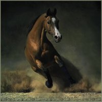 caballo.