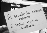 Amor