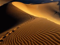 Desierto