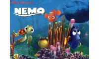 buscando a nemo