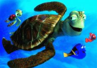 buscando a nemo1
