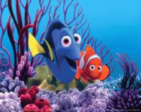 nemo5