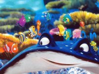 nemo7
