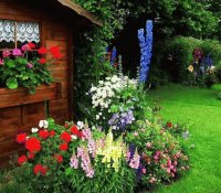 jardin