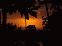 Hawiian Sunset