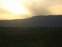 View Album